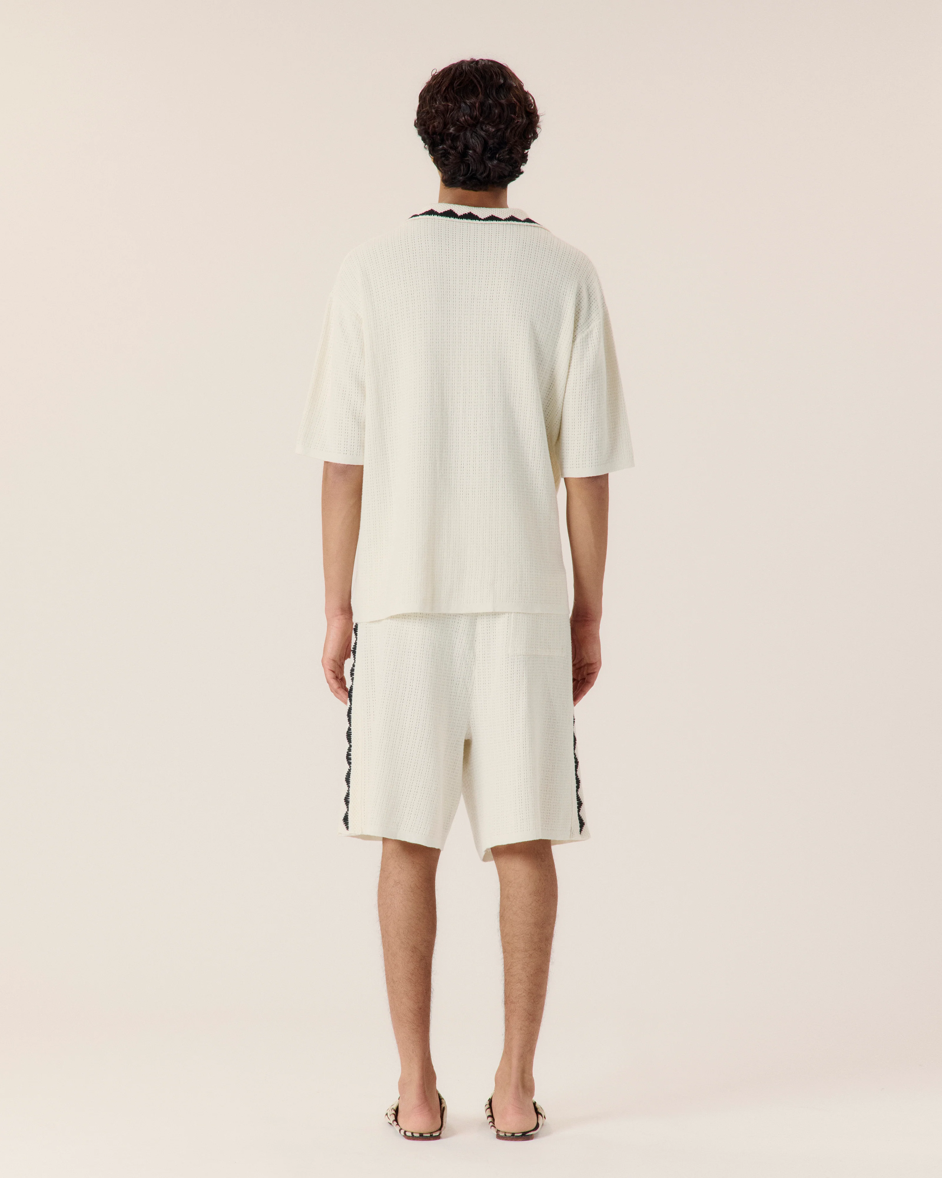 Embroidered Crochet Collar Polo - Image 4
